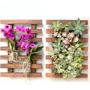 Wall Planter - 2 Pack Wooden Orchid Planter Frame Display Outdoor Plants
